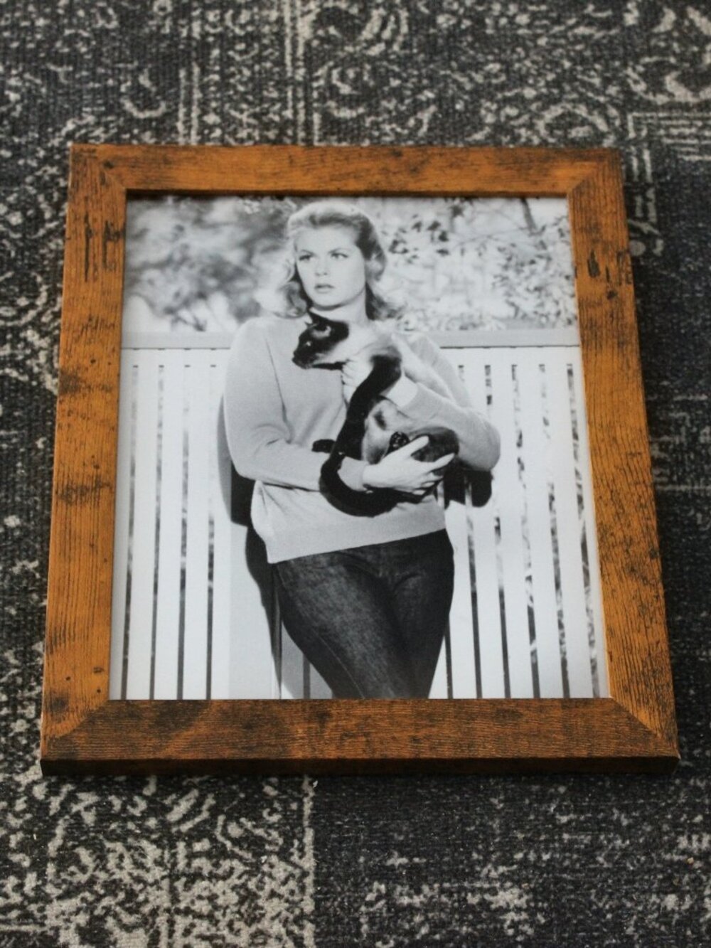 Elizabeth Montgomery Bewitched Cat Photo Print 8x10 Vintage Wall Decor Artwork